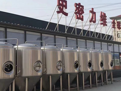 镇巴精酿啤酒设备厂—如何判断精酿啤酒设备的密封件需要更换？